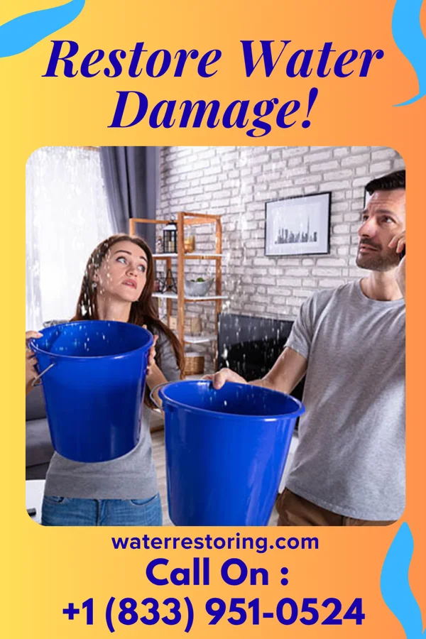 water restoration Quality Mitigation Contractors Springfield