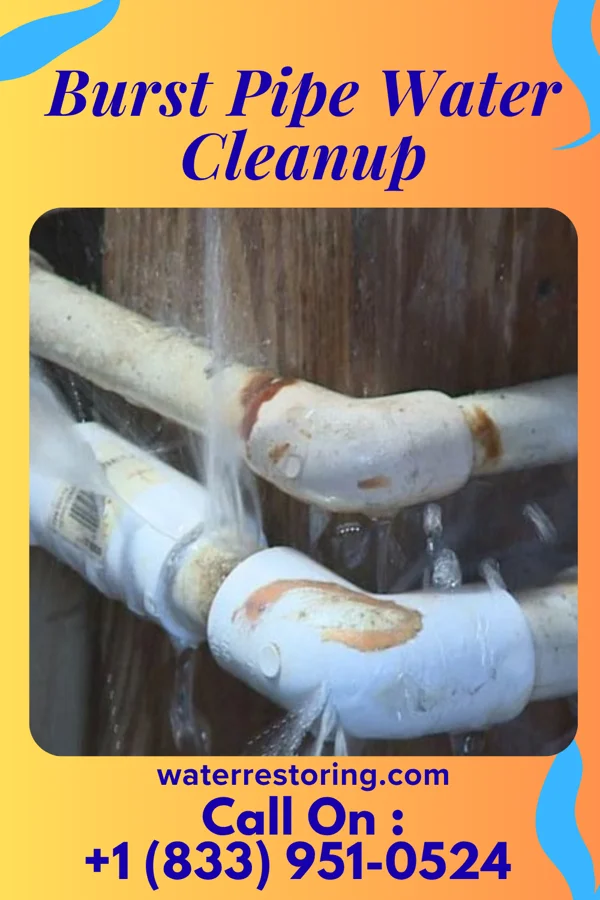 Burst Pipe Water Cleanup in Springfield, MA
