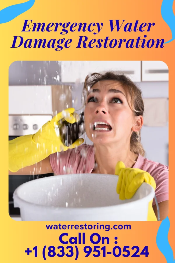 Emergency Water Damage Restoration in Springfield, MA