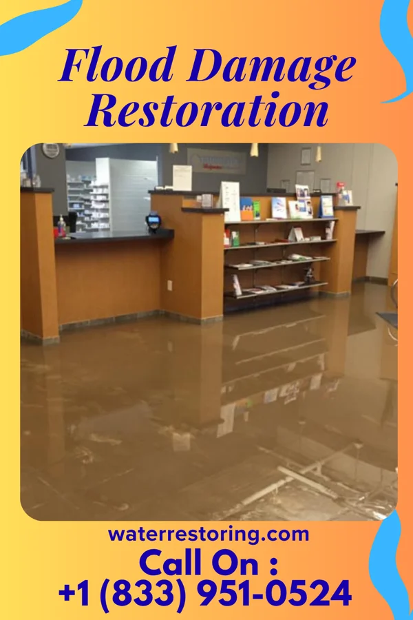 Flood Damage Restoration in Springfield, MA