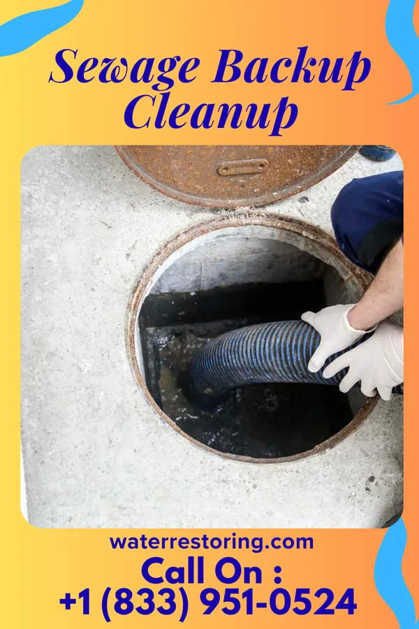Sewage Backup Cleanup in Springfield, MA