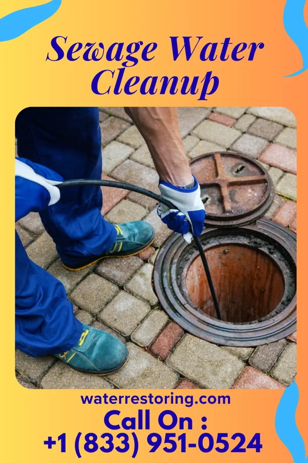 Sewage Water Cleanup in Springfield, MA